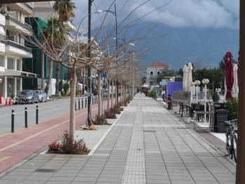 Επαγγελματίας στη Ναυαρίνου έκοβε τις μουριές με πριόνι