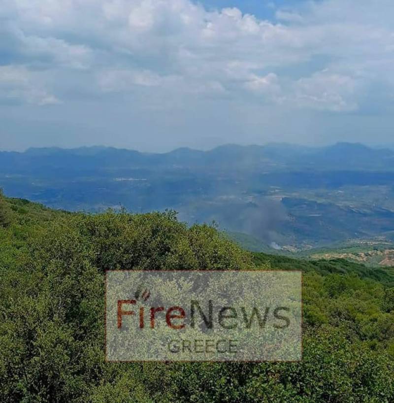 Μεσσηνία: Σε εξέλιξη πυρκαγιά στο Πανιπέρι