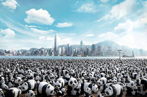 1600 χάρτινα panda φωτογραφίζονται σε 10 πόλεις