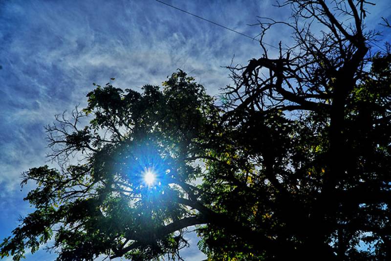 Αστρολογία – 9/11/2023