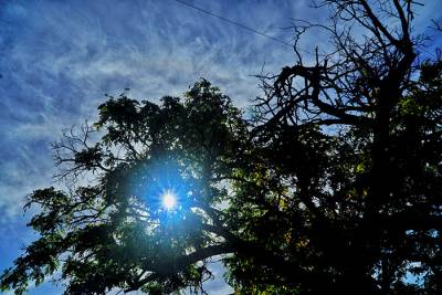 Αστρολογία – 9/11/2023