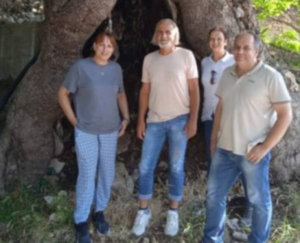 Ζητούν να ανακηρυχθεί Διατηρητέο Μνημείο της Φύσης ο πλάτανος στο Παλαιόκαστρο