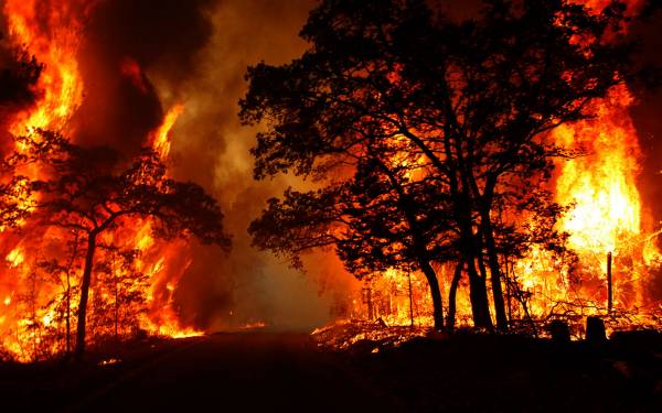 Έσπερναν φωτιές όλη τη νύχτα στην Αμφίκλεια - Μεγάλες καταστροφές στον Ορχομενό