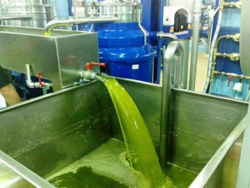 Γραπτές συμφωνίες παραγωγών με ελαιοτριβεία από το 2028