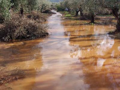 Πλημμύρισαν θερμοκήπια και ελαιοπερίβολα στην Αγία Κυριακή: Φωνές για προβλήματα από το Φιλιατρά - Γαργαλιάνοι