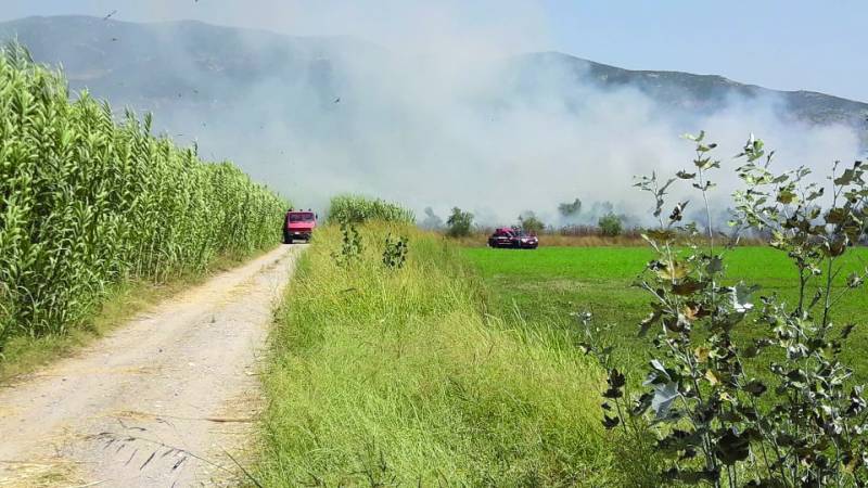 Πολλαπλά μέτωπα πυρκαγιών σε όλη τη Μεσσηνία