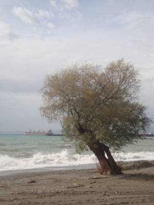 Η χειμερινή εικόνα της παραλιακής ζώνης