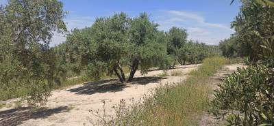 Επιχορήγηση σε σύλλογο στο Χαρακοπιό από το υπουργείο Πολιτισμού