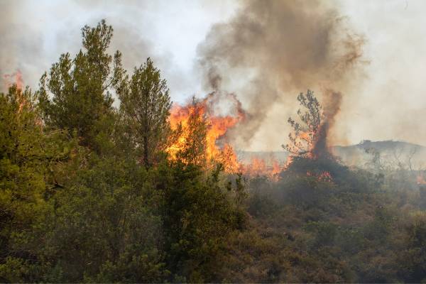 Πυρκαγιά σε χαμηλή βλάστηση στον Ασπρόπυργο - Οριοθετήθηκε άμεσα