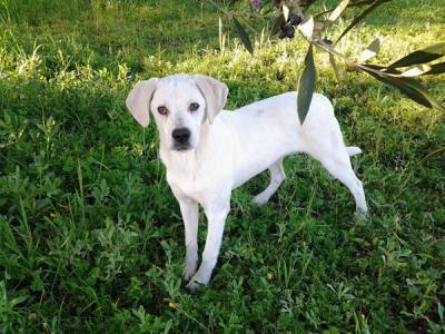 Ψάχνουν σπίτι