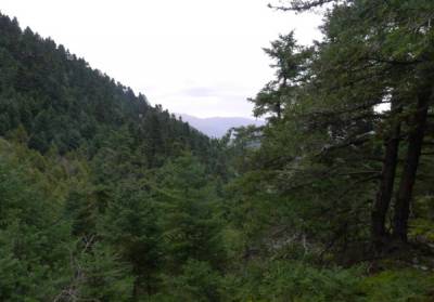 Στο Μαίναλο εξορμά ο Σύλλογος Αρκάδων Ορειβατών