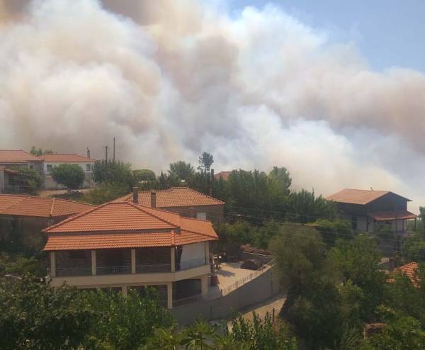 Το χρονικό της πυρκαγιάς στο Δήμο Μεγαλόπολης