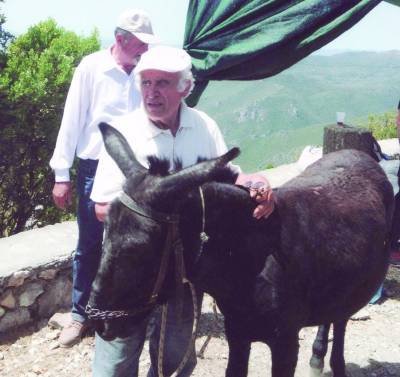 Γαϊδούρι έπεσε σε γκρεμό 300 μέτρων στον Ταΰγετο και δεν έπαθε τίποτα!