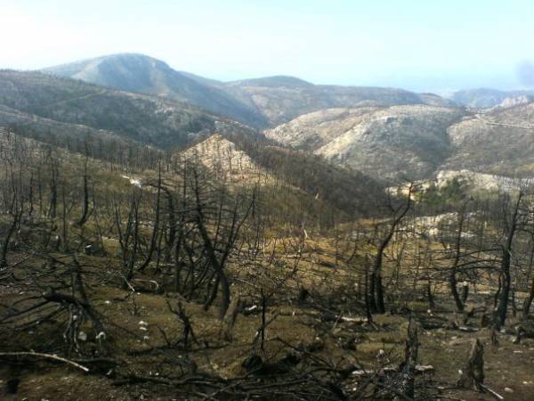Ξεκίνησε η καταβολή των αποζημιώσεων στους πυρόπληκτους της Πελοποννήσου