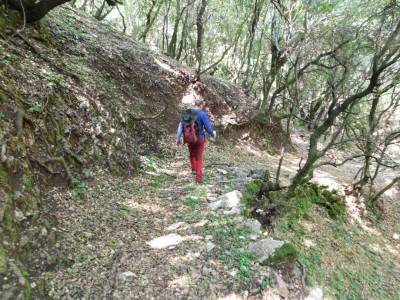 Περπατά στα ιστορικά μονοπάτια της Ανδρίτσαινας περπατά ο “Ευκλής”