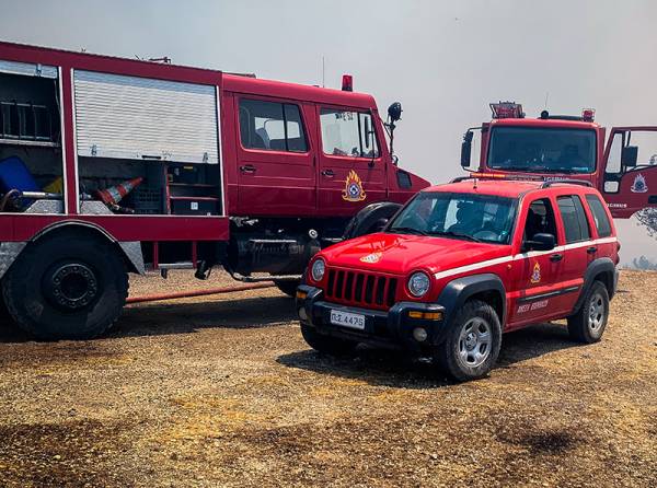 Θήβα: Πυρκαγιά σε δασική έκταση στην περιοχή Αγίας Τριάδας