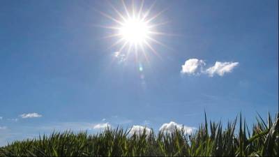 Αίθριος ο καιρός την Κυριακή - Αναλυτική πρόγνωση