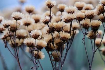 Αστρολογία – 18/11/2023