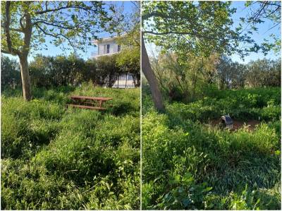 Ανησυχία γονέων για την ασφάλεια στο 7ο Νηπιαγωγείο Καλαμάτας