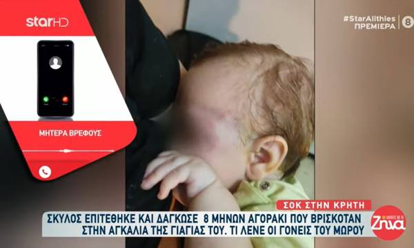 Κρήτη: Συγκλονίζει η μητέρα του 8 μηνών βρέφους που δέχτηκε επίθεση από λυκόσκυλο: «Δεν ήξερα εάν είχε μάτι» (Βίντεο)