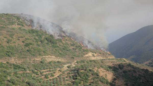 Μεσσηνία: Σε ύφεση η πυρκαγιά στη Χρυσοκελλαριά - Υπόνοιες για εμπρησμό (βίντεο-φωτογραφίες)