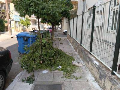 Τρεις μέρες τα κλαδέματα στο πεζοδρόμιο