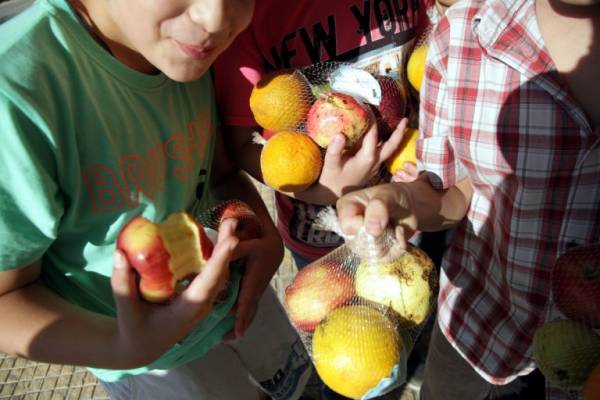 Διανεμήθηκαν 20 τόνοι φρούτων σε μαθητές του Δήμου Μεσσήνης