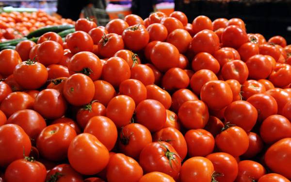 Απάτη με 23 τόνους ντομάτες στην Κρήτη - Έκαναν φτερά 16.000 ευρώ