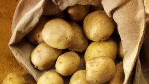 Πήγαν να κλέψουν πατάτες από χωράφι στο Καρτερόλι Μεσσηνίας