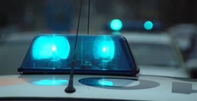Επιασαν στα πράσα τρεις ανήλικους τσιγγάνους στη Μεσσήνη