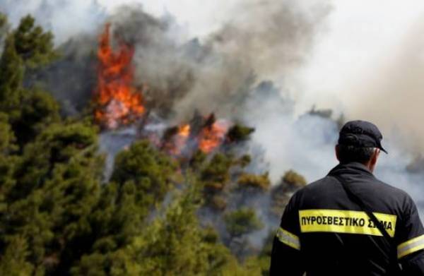 Υπό έλεγχο η φωτιά στην Δαιμονιά Λακωνίας