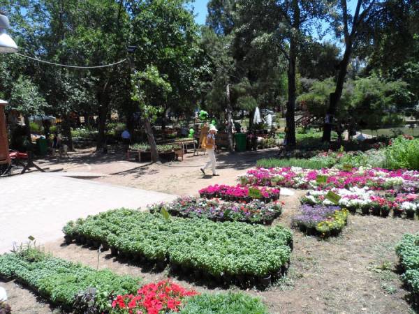 Εγκαινιάζεται σήμερα η 4η Ανθοκομική Εκθεση Καλαμάτας