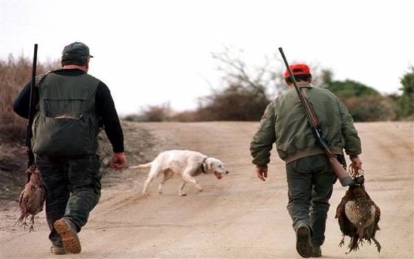 Ευρυτανία: Παραλίγο τραγωδία σε κυνήγι για αγριογούρουνο