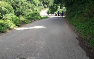 Απαγόρευση κυκλοφορίας σε δασικές περιοχές της Μεσσηνίας