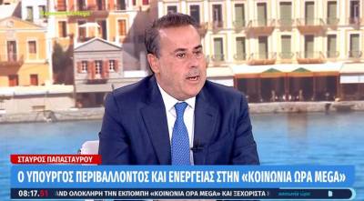 Παπασταύρου: Είναι στοίχημα για τη χώρα μας να διατηρήσουμε την ενεργειακή μας επάρκεια (Βίντεο)