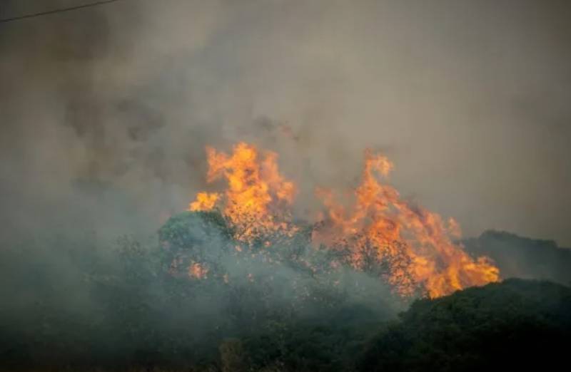 Φωτιά στη Νέα Σαμψούντα Πρέβεζας - Κατευθύνεται προς τον οικισμό