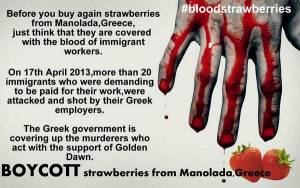 Διεθνές μποϊκοτάζ στις φράουλες Μανωλάδας με ματωμένες αφίσες