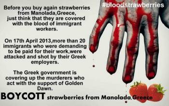 Διεθνές μποϊκοτάζ στις φράουλες Μανωλάδας με ματωμένες αφίσες