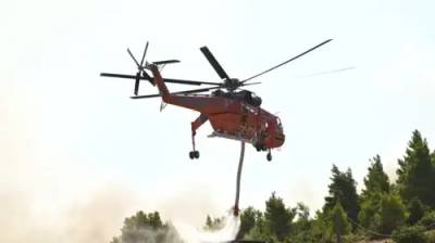 Νέα φωτιά στην Αυλώνα Τριφυλίας