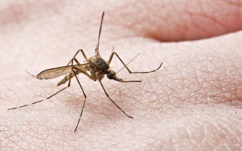 Περήφανος ο Τατούλης για την καταπολέμηση των κουνουπιών