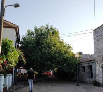 Ψηφιακά αφιερώματα στα χωριά Αριστομένης και Ζαπάντι