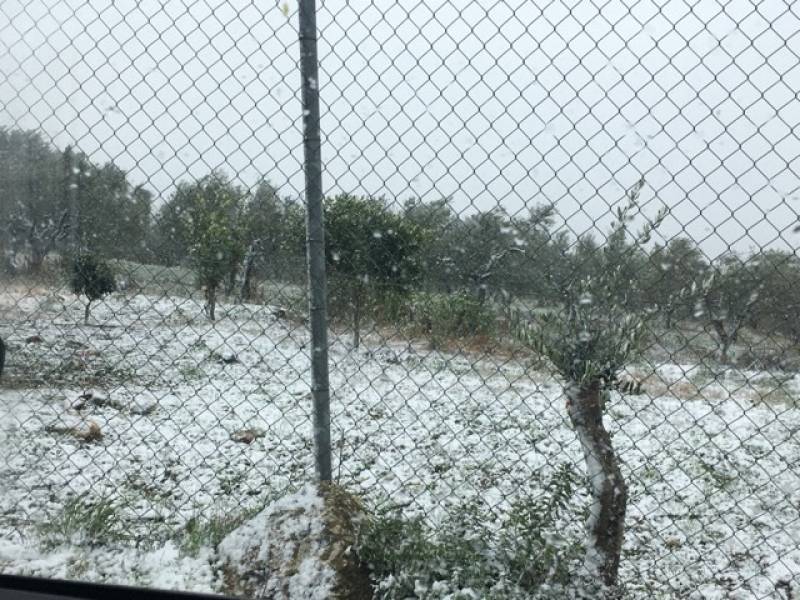 Συνεδρίασε το Συντονιστικό της ΠΕ Μεσσηνίας: Επιφυλακή για παγετό και χιονοπτώσεις