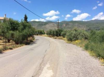Μάχη εθελοντών για να μην περάσει η πυρκαγιά στη Λαγκάδα Δυτικής Μάνης