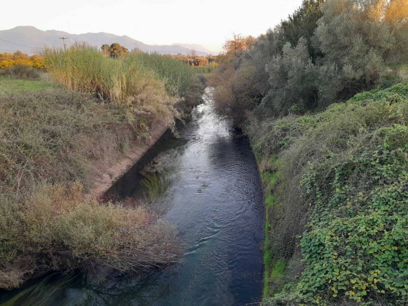 Πραγματική ζούγκλα