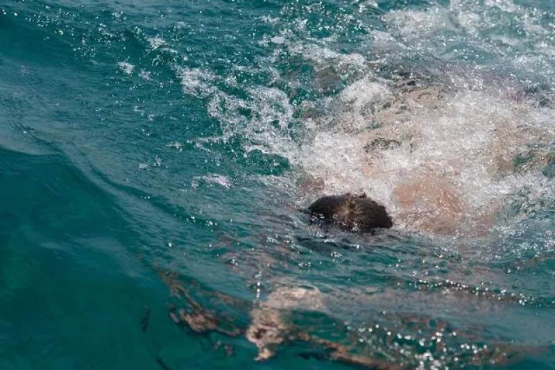 Ηλεία: Σοβαρός τραυματισμός 31χρονης μετά από βουτιά στη θάλασσα