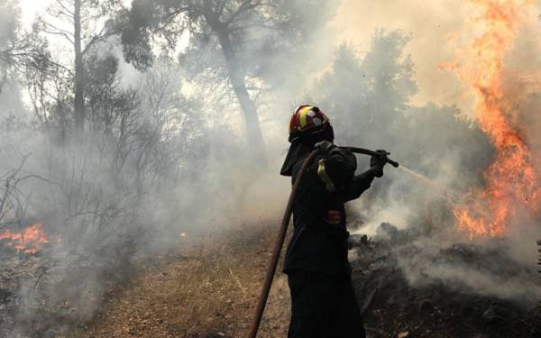 Λακωνία: Πυρκαγιά σε δασική έκταση στην περιοχή Βασιλική