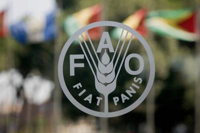 FAO: Οι παγκόσμιες τιμές των τροφίμων σημείωσαν πτώση κατά 2% το 2024