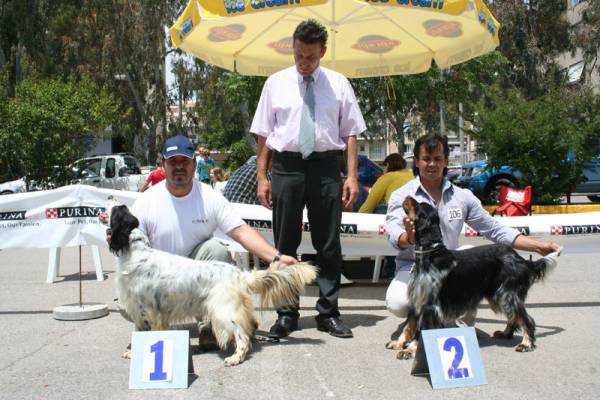 Εκθέσεις μορφολογίας σκύλου το Σαββατοκύριακο στην Καλαμάτα
