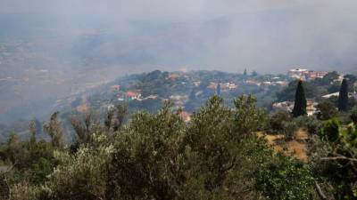 Χωρίς ενεργό μέτωπο η πυρκαγιά σε δασική έκταση στη Χίο