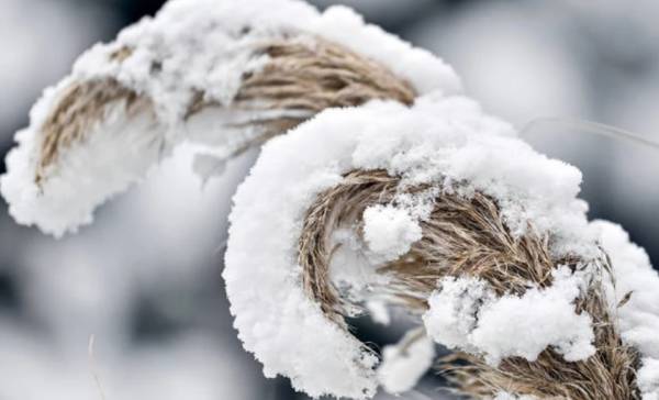 Κακοκαιρία Μήδεια: Χιόνια στην Άνδρο, έκλεισε τμήμα του οδικού δικτύου